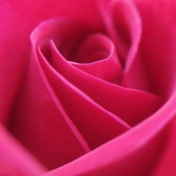 Meet your Posher, Meghan - Picture 1 of 1